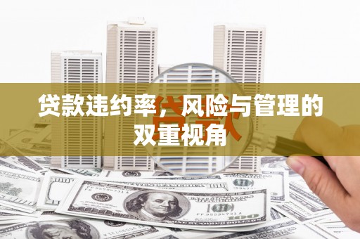 定海贷款违约率，风险与管理的双重视角