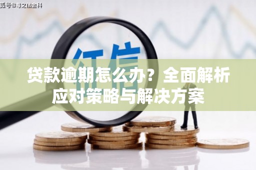 分宜贷款逾期怎么办？全面解析应对策略与解决方案