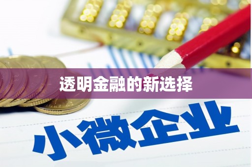 宁明透明金融的新选择