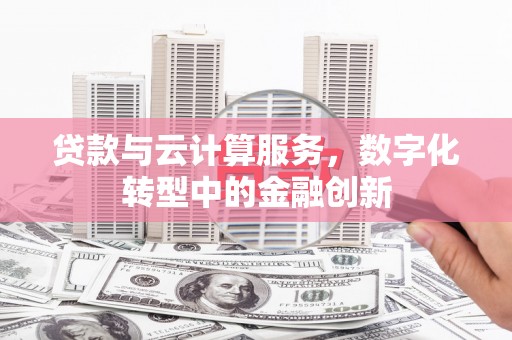 卢氏贷款与云计算服务，数字化转型中的金融创新