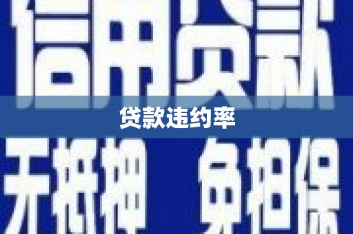 绥滨贷款违约率