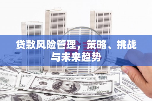 绛县贷款风险管理，策略、挑战与未来趋势
