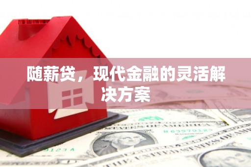 始兴随薪贷，现代金融的灵活解决方案