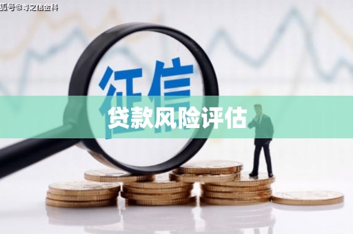修文贷款风险评估