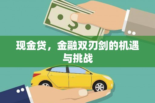 玛家现金贷，金融双刃剑的机遇与挑战