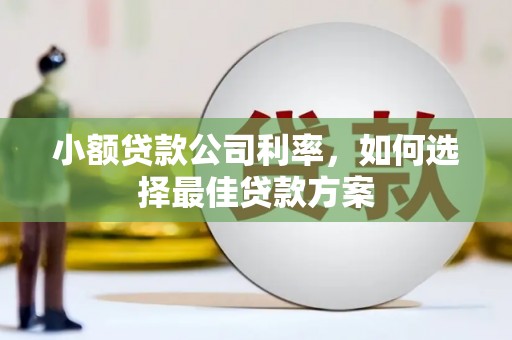吴中小额贷款公司利率，如何选择最佳贷款方案
