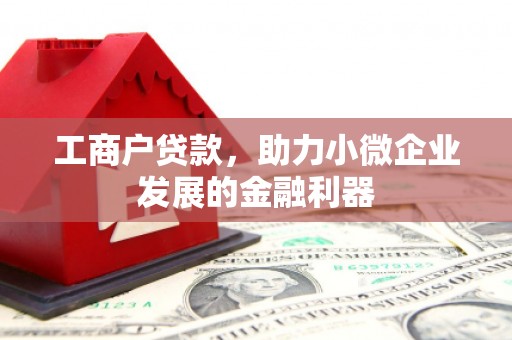 卓尼工商户贷款，助力小微企业发展的金融利器