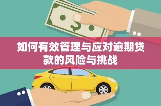 鲅鱼圈如何有效管理与应对逾期贷款的风险与挑战