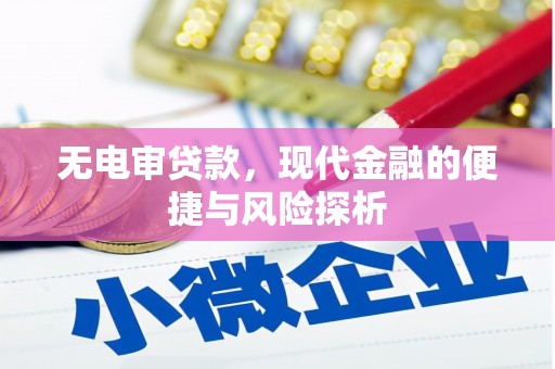 昭化无电审贷款，现代金融的便捷与风险探析