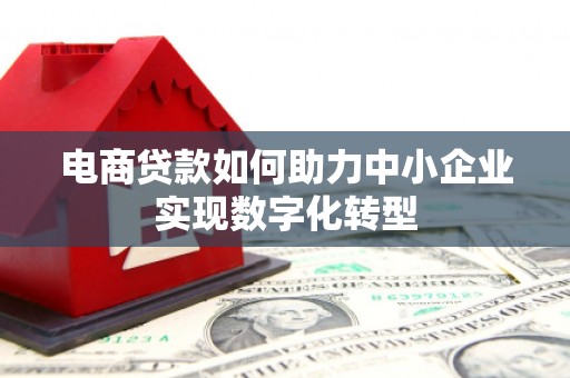 梧州电商贷款如何助力中小企业实现数字化转型