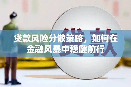 东兴贷款风险分散策略，如何在金融风暴中稳健前行