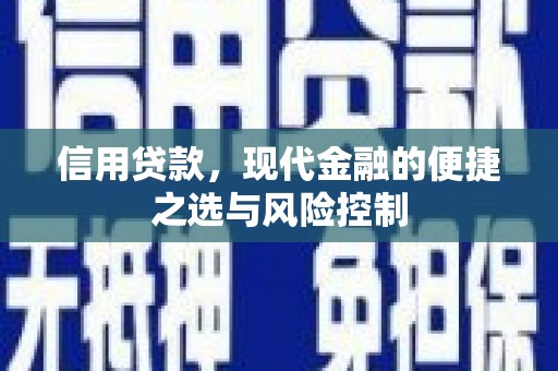 施甸信用贷款，现代金融的便捷之选与风险控制