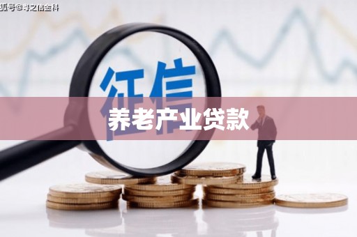保定养老产业贷款