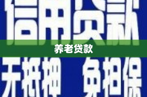 孝感养老贷款