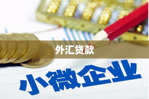 沂源外汇贷款