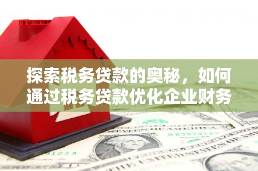 湖里探索税务贷款的奥秘，如何通过税务贷款优化企业财务