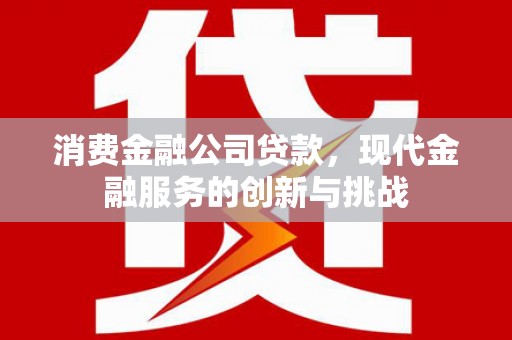 红安消费金融公司贷款，现代金融服务的创新与挑战