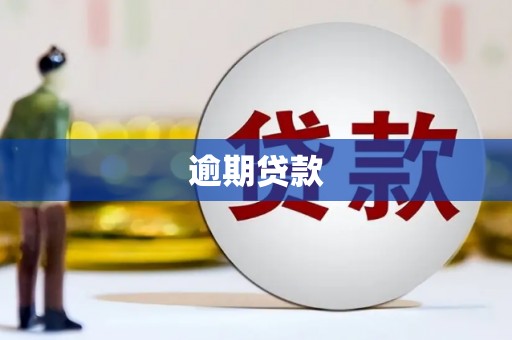 新晃逾期贷款