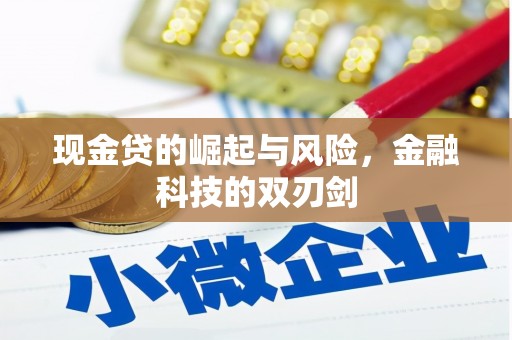 开福现金贷的崛起与风险，金融科技的双刃剑