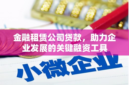 新园金融租赁公司贷款，助力企业发展的关键融资工具