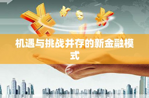 泰山机遇与挑战并存的新金融模式