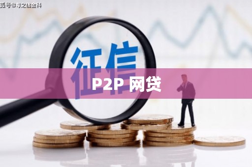 盘龙P2P 网贷