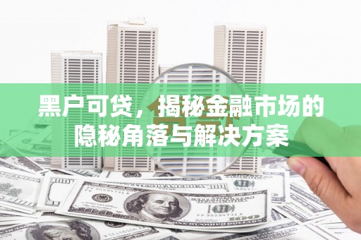 岳塘黑户可贷，揭秘金融市场的隐秘角落与解决方案