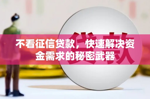 兴宾不看征信贷款，快速解决资金需求的秘密武器