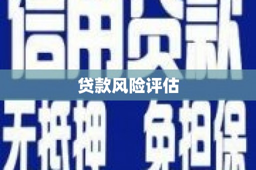 利辛贷款风险评估
