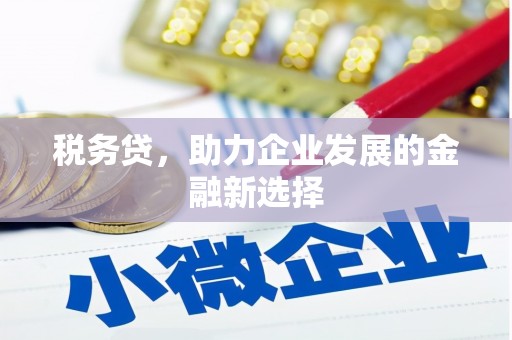延吉税务贷，助力企业发展的金融新选择