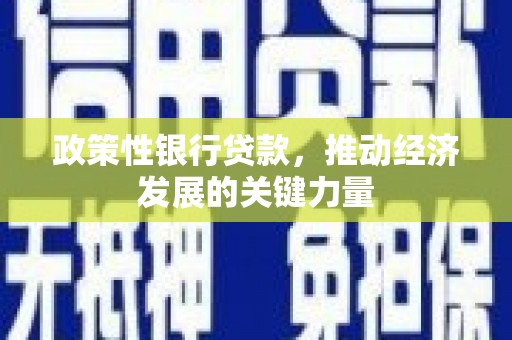 盐埕政策性银行贷款，推动经济发展的关键力量