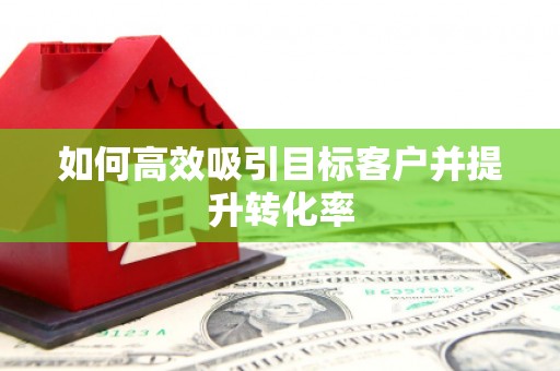芦山如何高效吸引目标客户并提升转化率