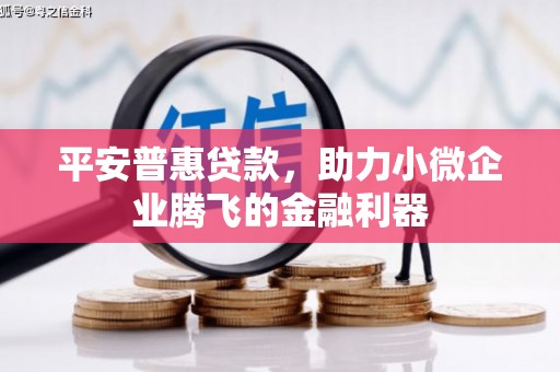 平舆平安普惠贷款，助力小微企业腾飞的金融利器