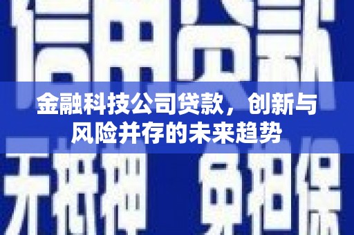 大余金融科技公司贷款，创新与风险并存的未来趋势