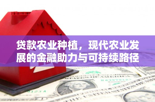 长宁贷款农业种植，现代农业发展的金融助力与可持续路径