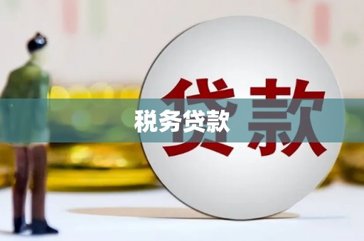 社旗税务贷款