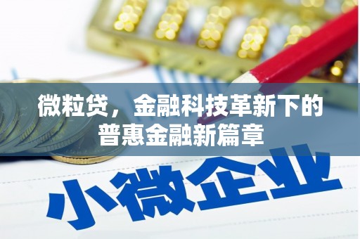 错那微粒贷，金融科技革新下的普惠金融新篇章