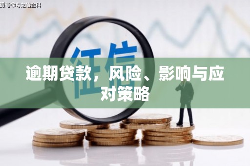 柳河逾期贷款，风险、影响与应对策略
