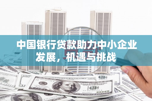 永嘉中国银行贷款助力中小企业发展，机遇与挑战