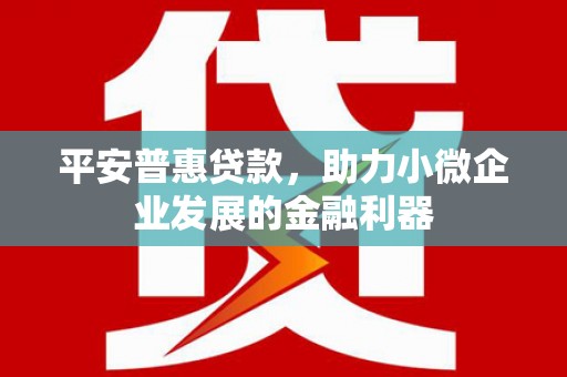 桓台平安普惠贷款，助力小微企业发展的金融利器