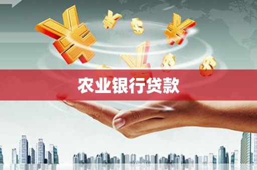 泸州农业银行贷款
