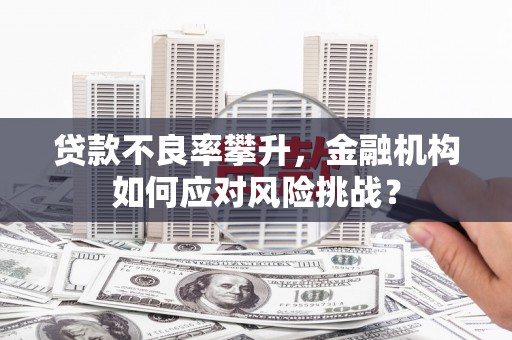 兴山贷款不良率攀升，金融机构如何应对风险挑战？