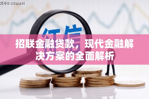漳州招联金融贷款，现代金融解决方案的全面解析