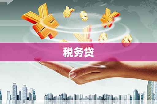 中卫税务贷