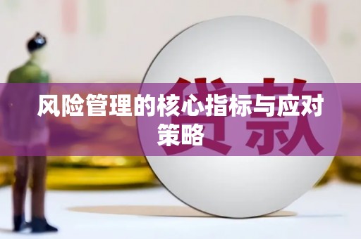 麦积风险管理的核心指标与应对策略