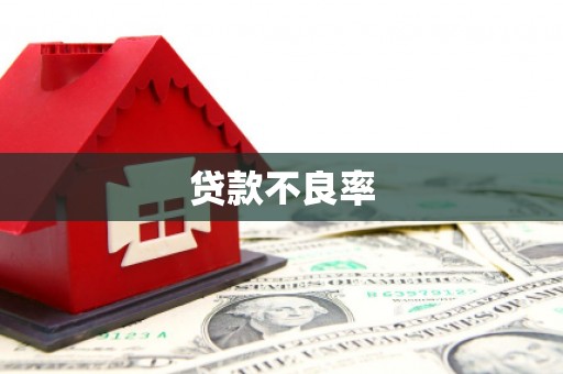 康乐贷款不良率