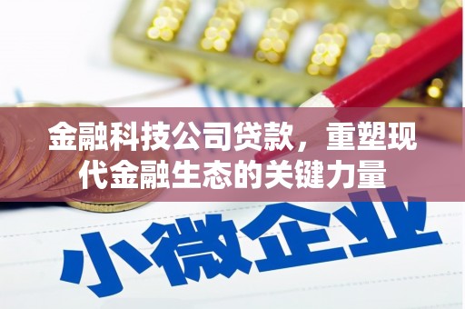 沈河金融科技公司贷款，重塑现代金融生态的关键力量