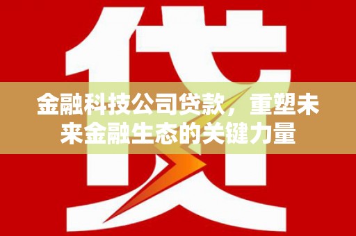 芎林金融科技公司贷款，重塑未来金融生态的关键力量