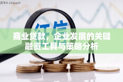 德兴商业贷款，企业发展的关键融资工具与策略分析