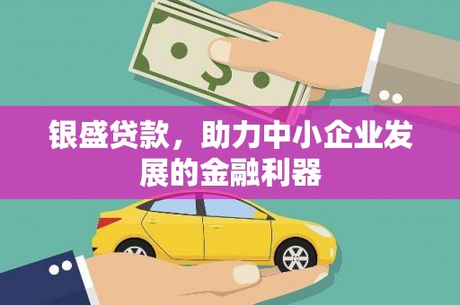 定安银盛贷款，助力中小企业发展的金融利器